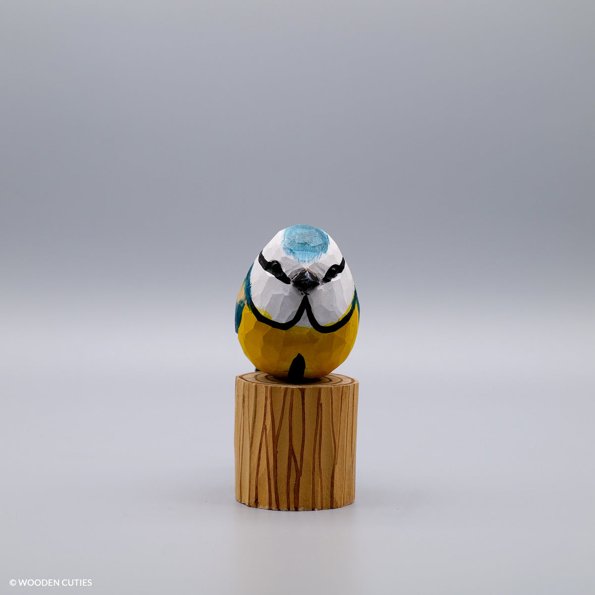 Blue Tit