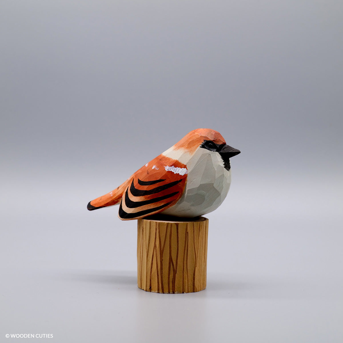 Set of 30 Birds