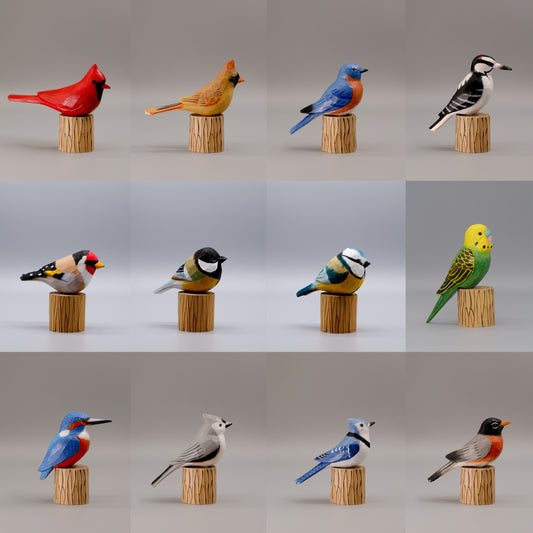 Set of 12 Birds