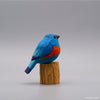 Classic Eastern Bluebird
