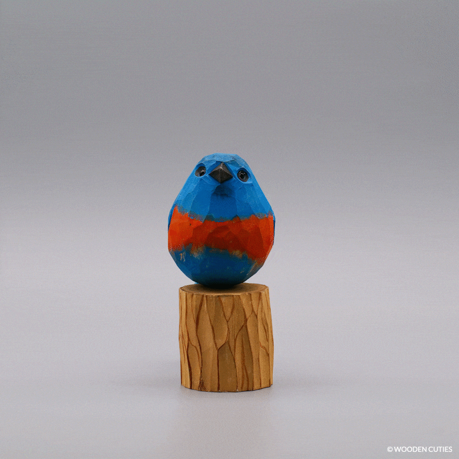 Classic Eastern Bluebird