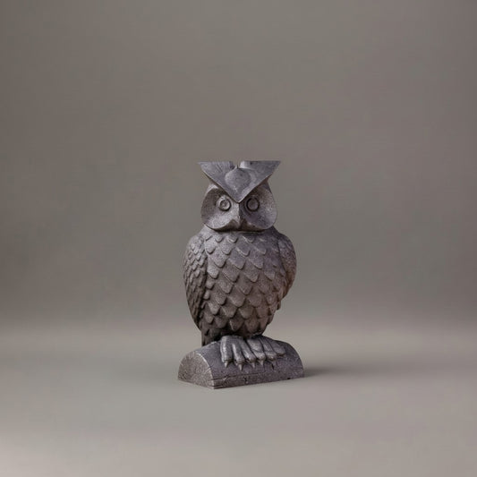 Shungite Owl Lucky Charm – Protection & Wisdom