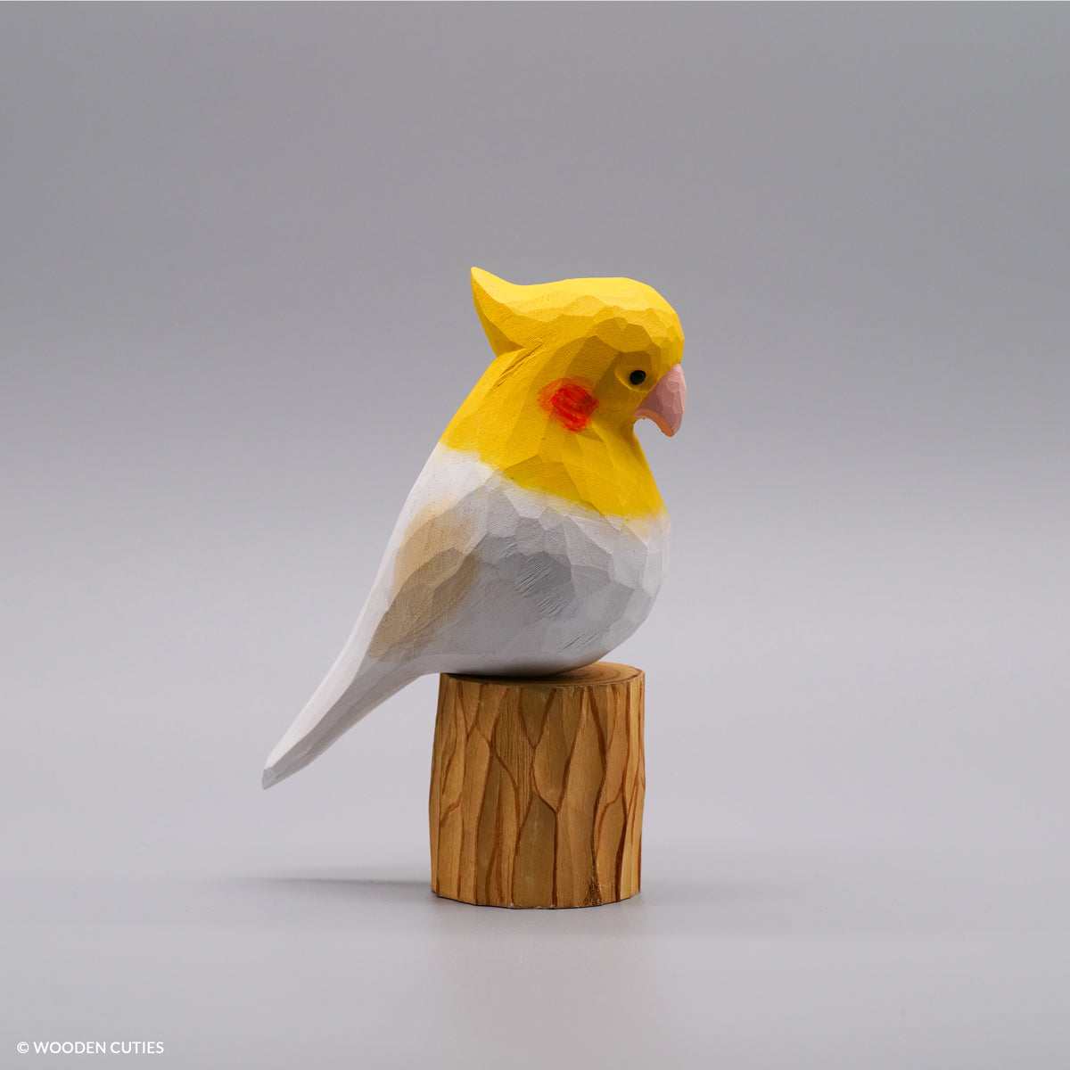 Set of 30 Birds