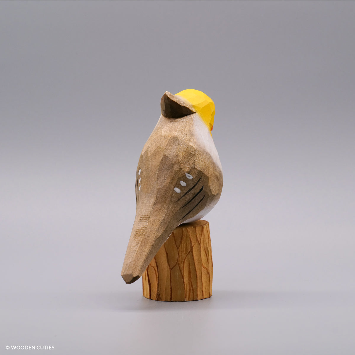 Classic Grey Cockatiel