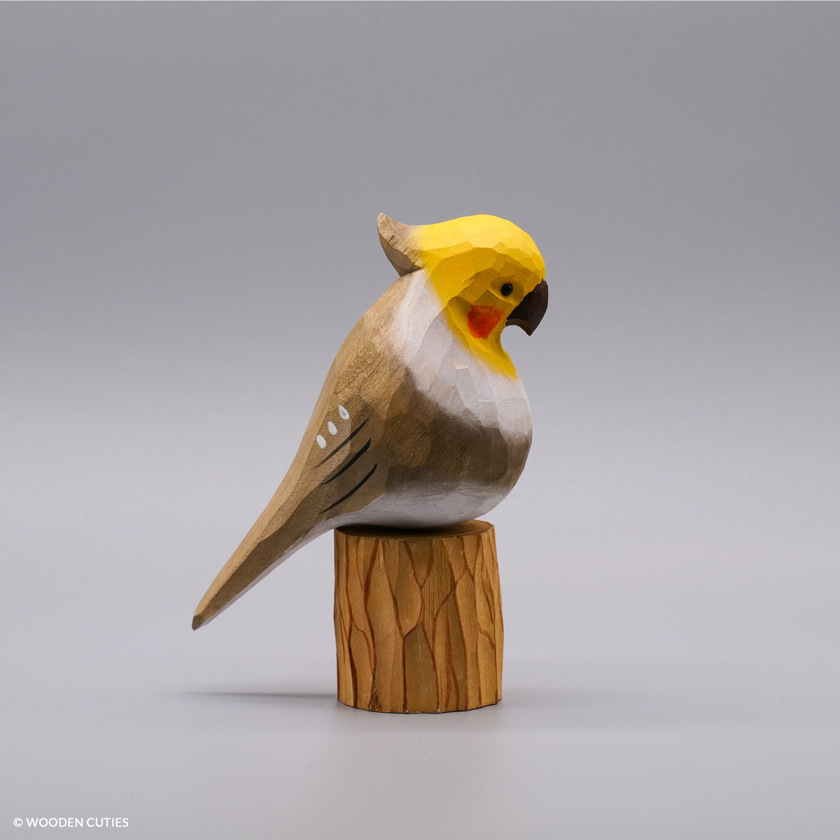 Classic Grey Cockatiel