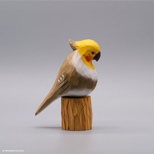 Classic Grey Cockatiel