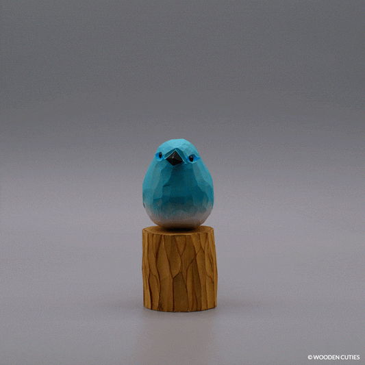 Classic Mountain Bluebird