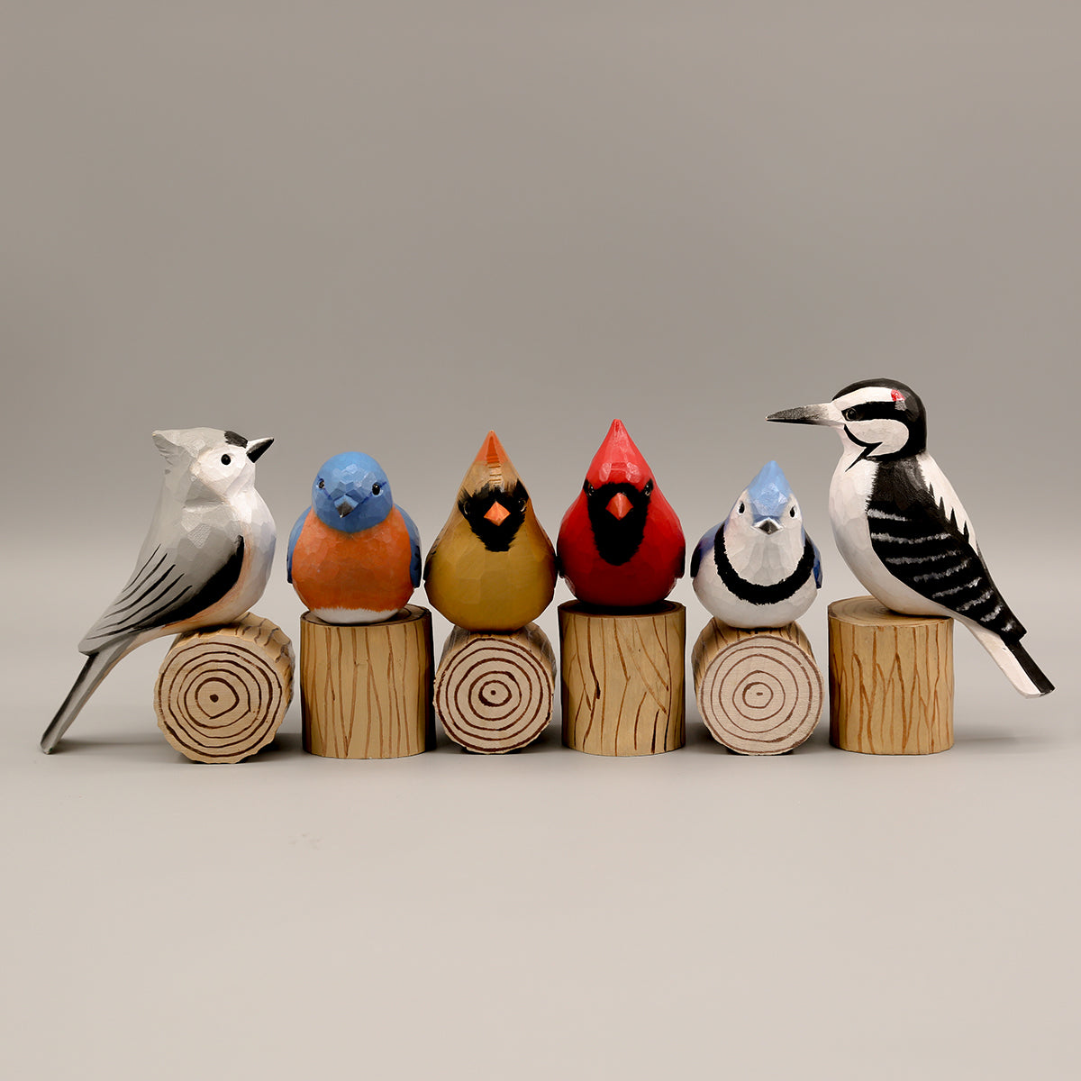 Set of 6 Birds