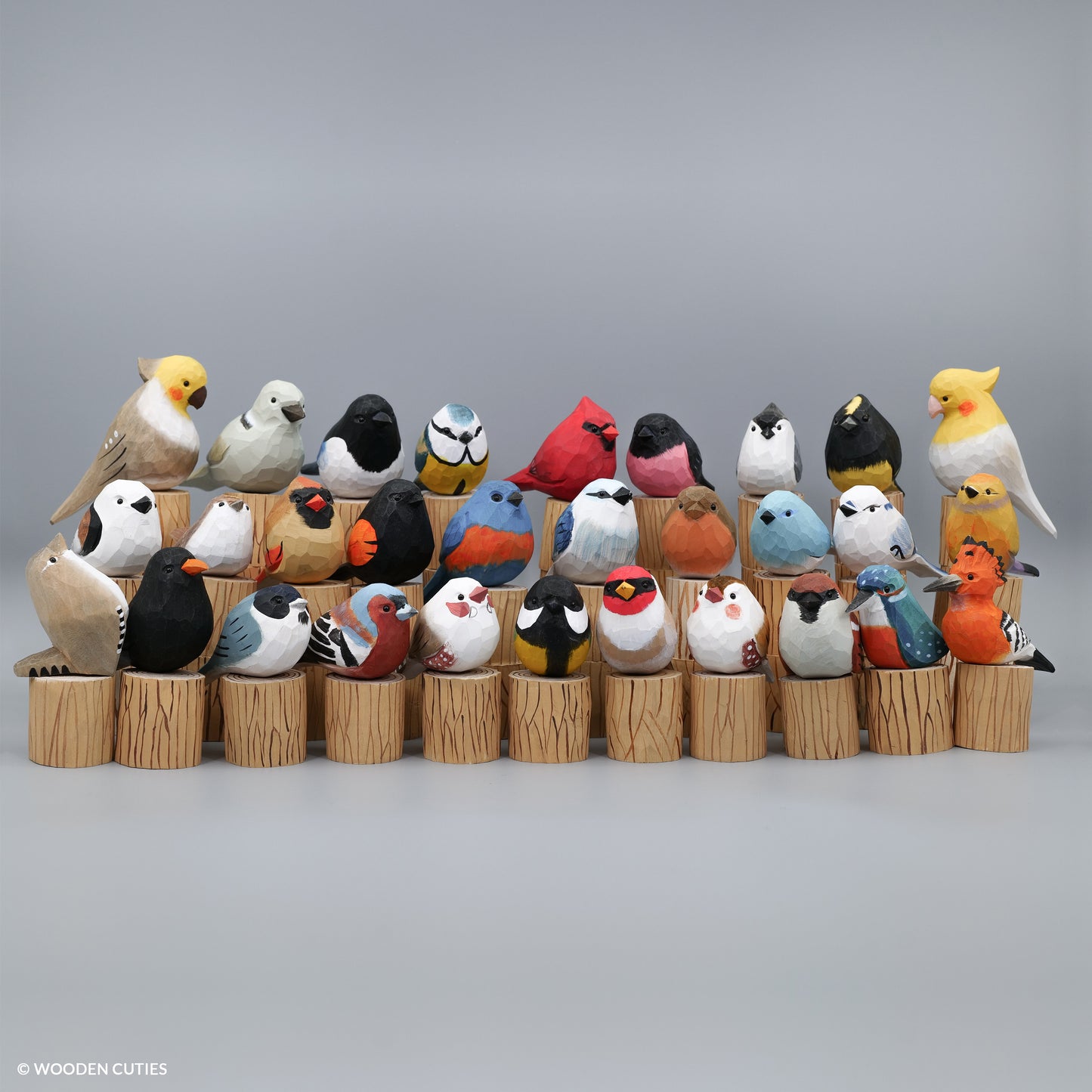 Set of 30 Birds