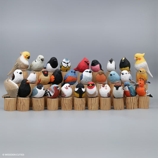 Set of 30 Birds
