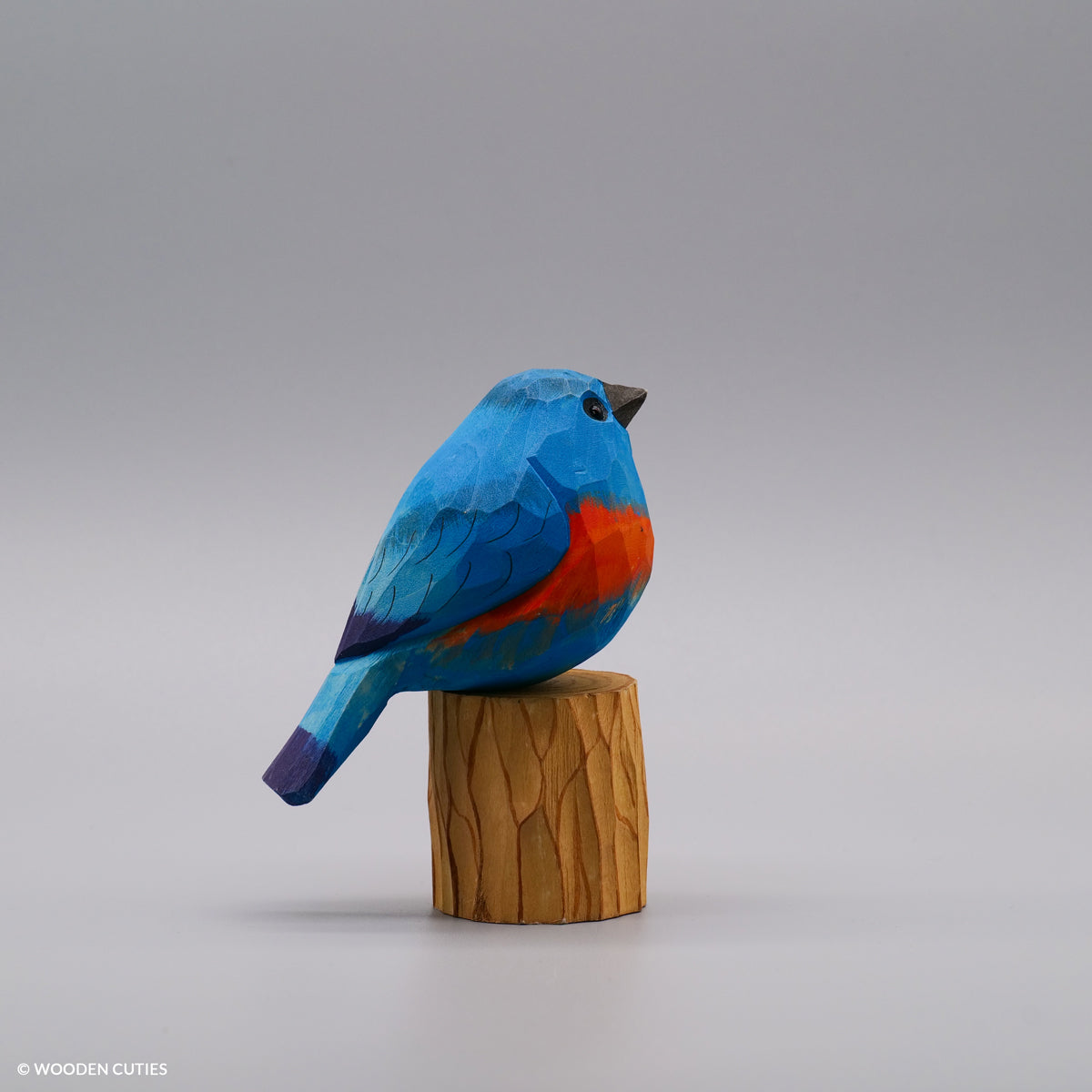 Set of 10 Classic Birds