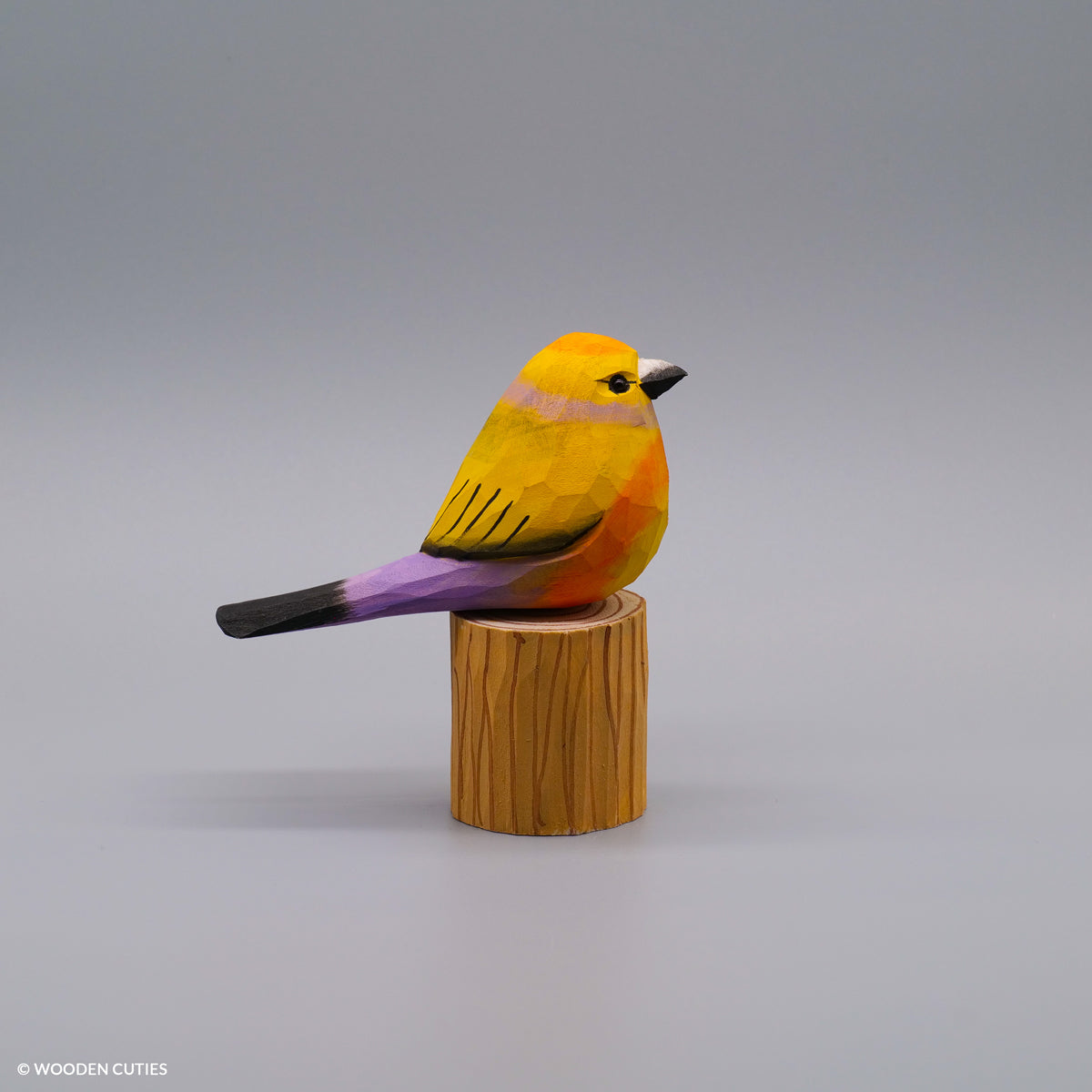 Set of 10 Classic Birds