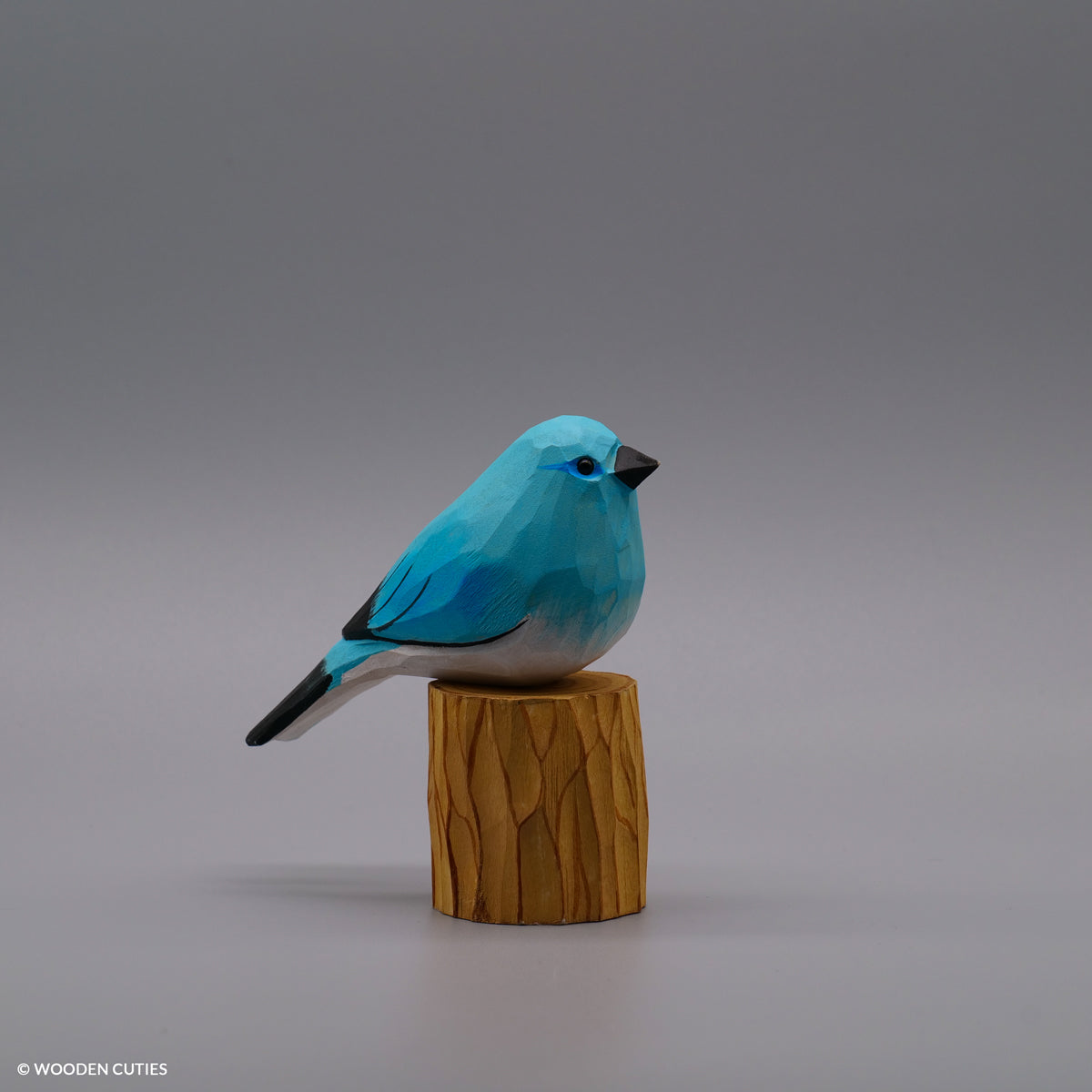 Set of 10 Classic Birds