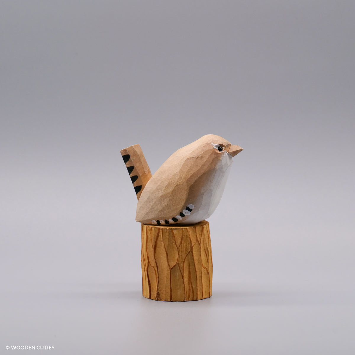 Set of 10 Classic Birds