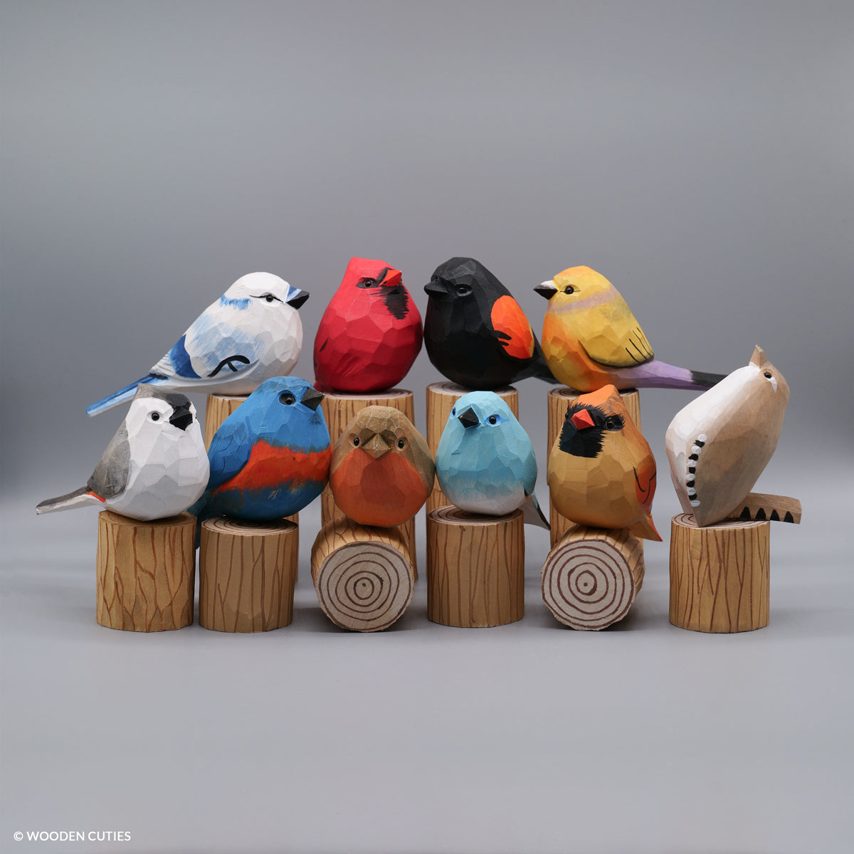 Set of 10 Classic Birds