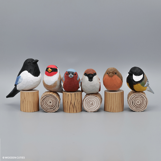 Set of 6 Birds